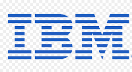 IBM InfoSphere Optim Data Privacy
